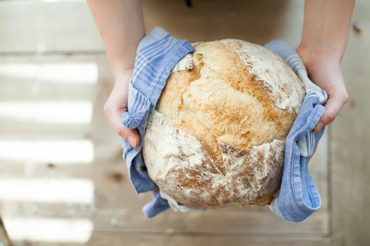amish friendship bread recipe