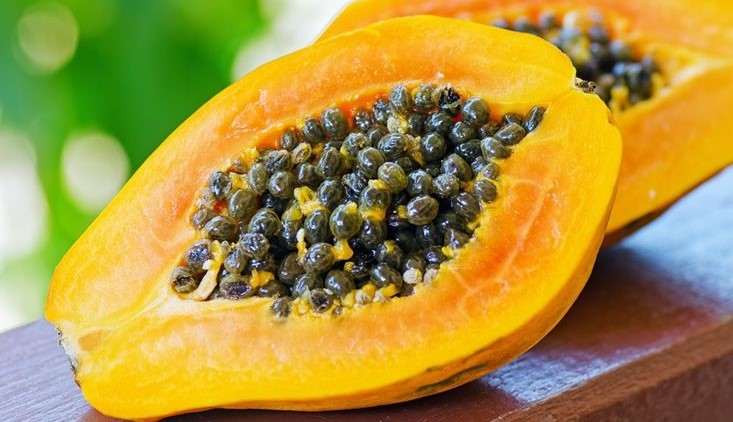 Papaya
