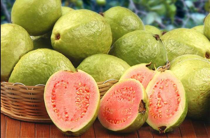 Guava